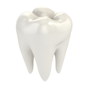 shiny white tooth crown